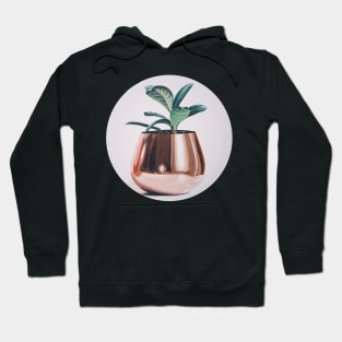 Hopeful - Plant in Copper Pot painting Hoodie